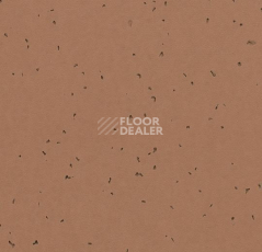 Линолеум Forbo Sphera Energetic 50225 masala фото 1 | FLOORDEALER